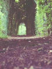 Unbound by any rules