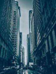 Transmigration: Feel